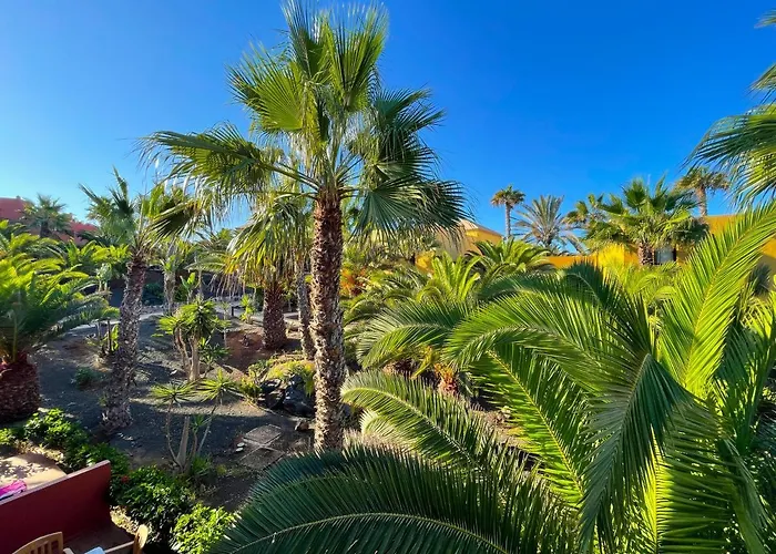 Oasis Tamarindo By Holidays Fuerteventura アパート コラレホ